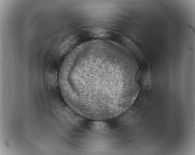 X0000102780376200809081033