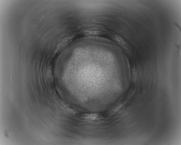 X0000102780377200809081033