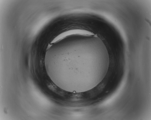 X0000102780382200809081033