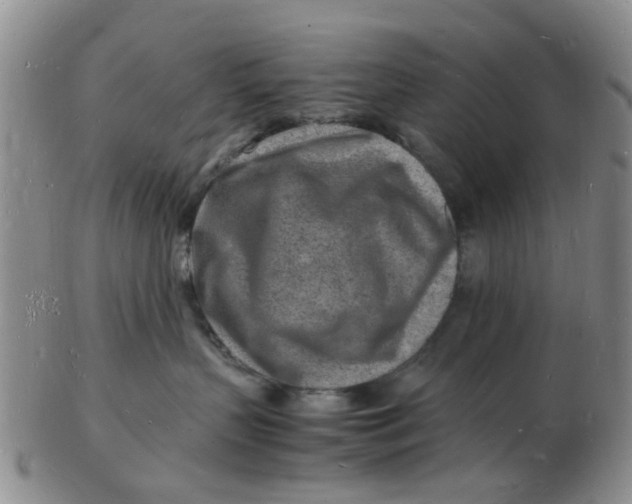 X0000102780383200809081033