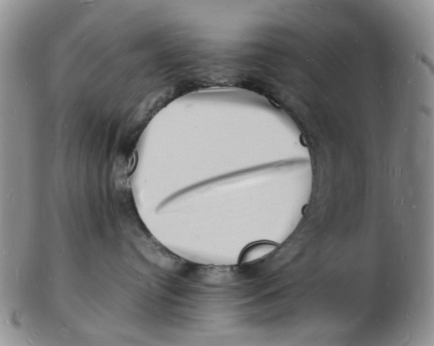 X0000102780384200809081033