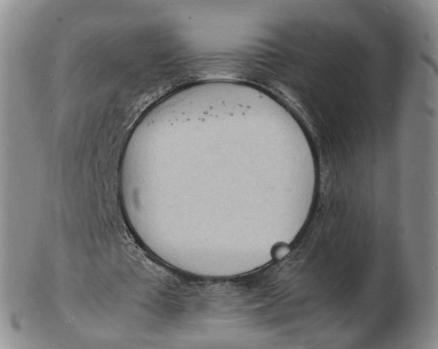 X0000102780385200809081032