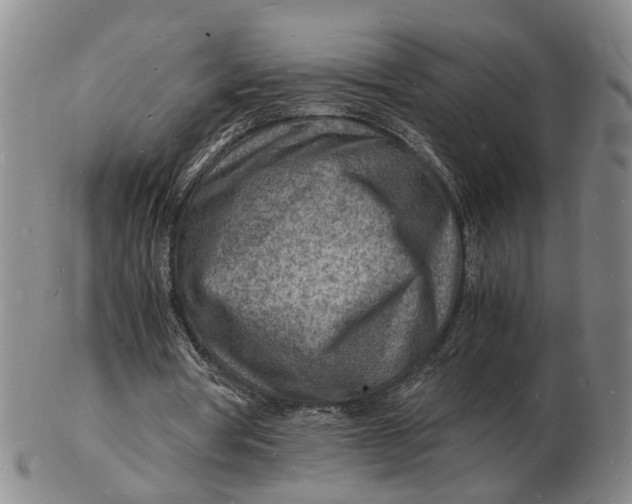 X0000102780386200809081032