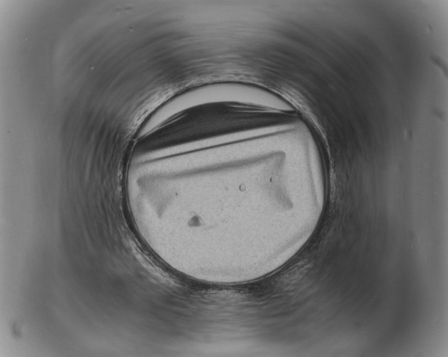 X0000102780389200809081032