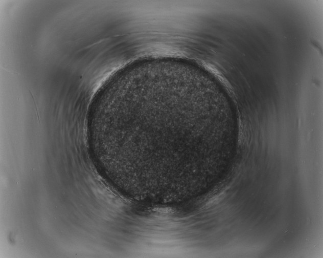 X0000102780391200809081032