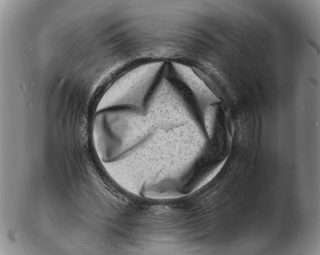 X0000102780392200809081032