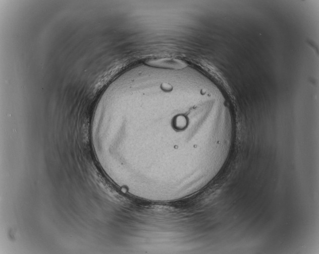 X0000102780393200809081032