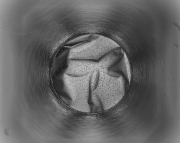 X0000102780394200809081032