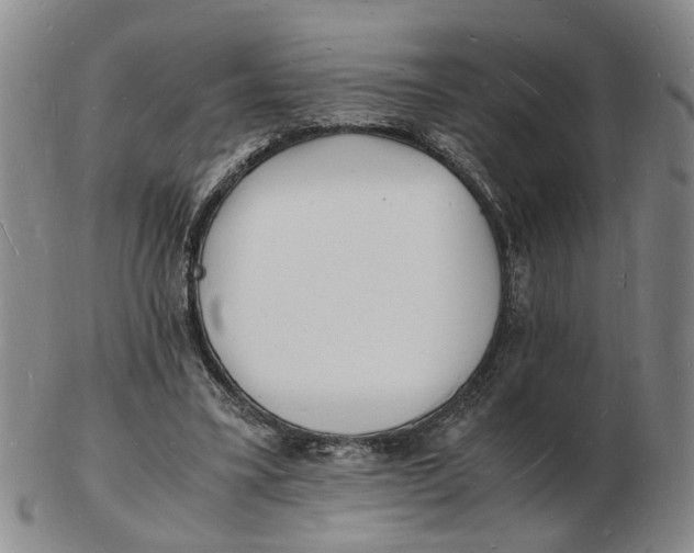 X0000102780395200809081032