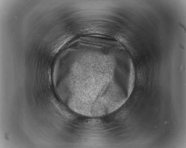 X0000102780398200809081032