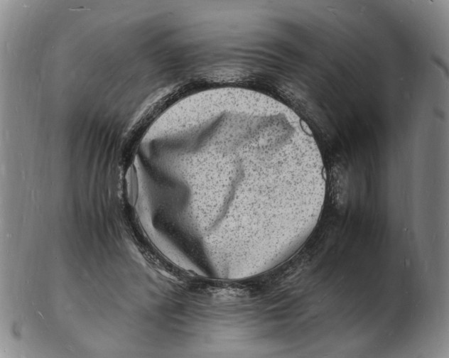 X0000102780400200809081032