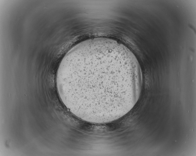 X0000102780401200809081032