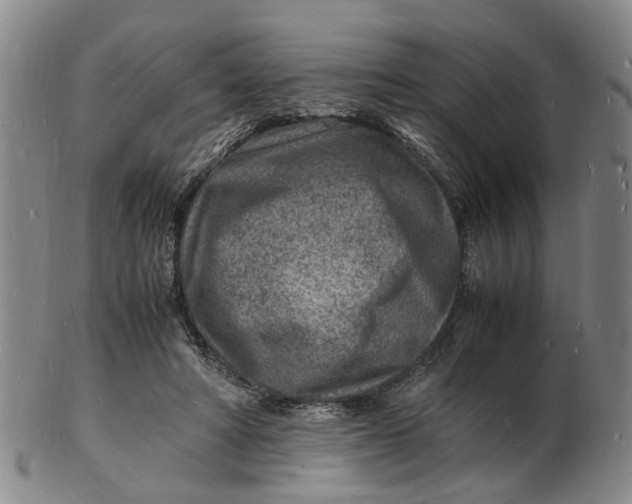 X0000102780402200809081032