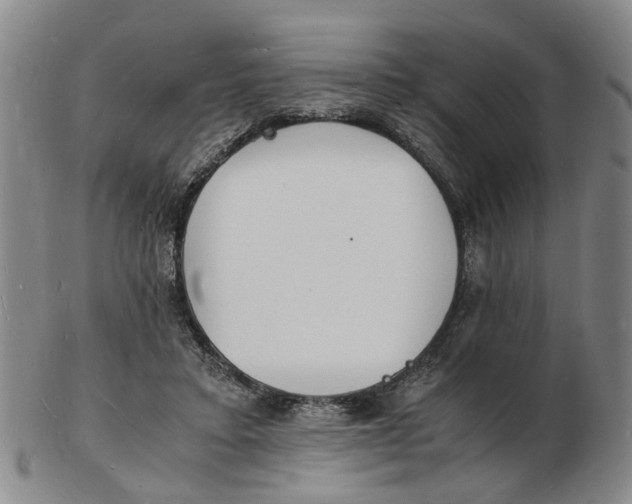 X0000102780403200809081032