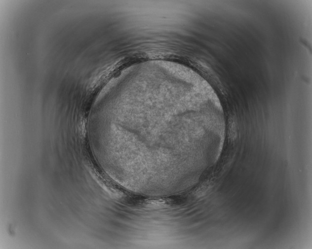 X0000102780405200809081032