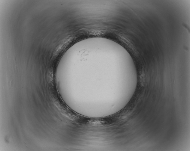 X0000102780407200809081032