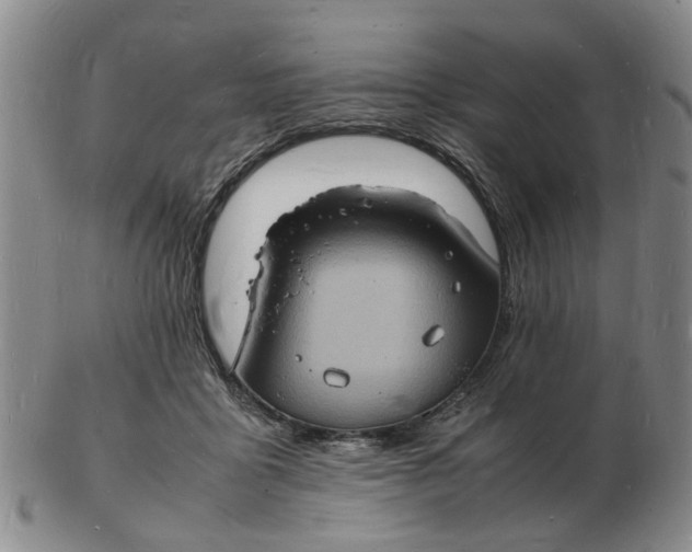 X0000102780411200809081031