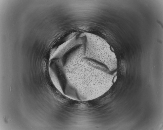 X0000102780412200809081031