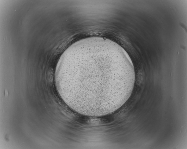 X0000102780413200809081031