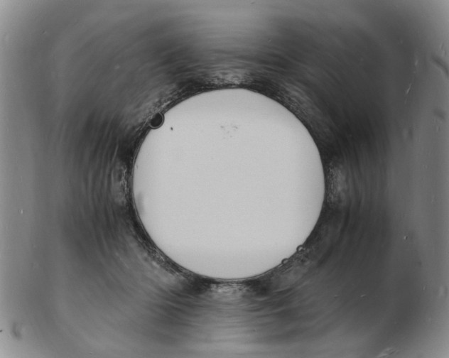 X0000102780414200809081031