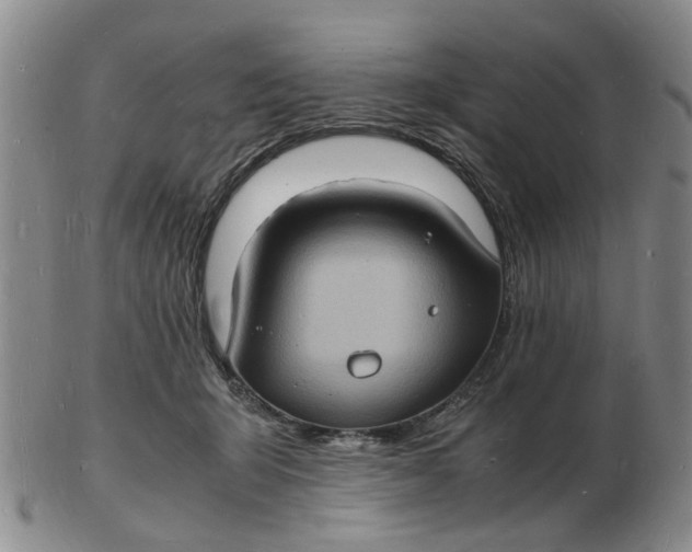 X0000102780415200809081031