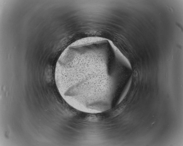 X0000102780416200809081031