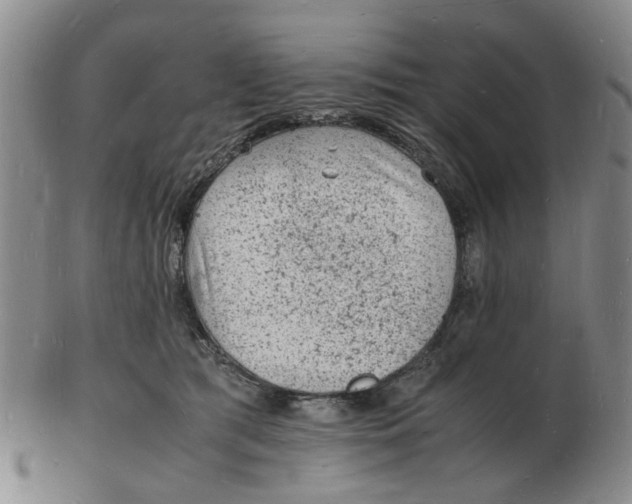 X0000102780417200809081031