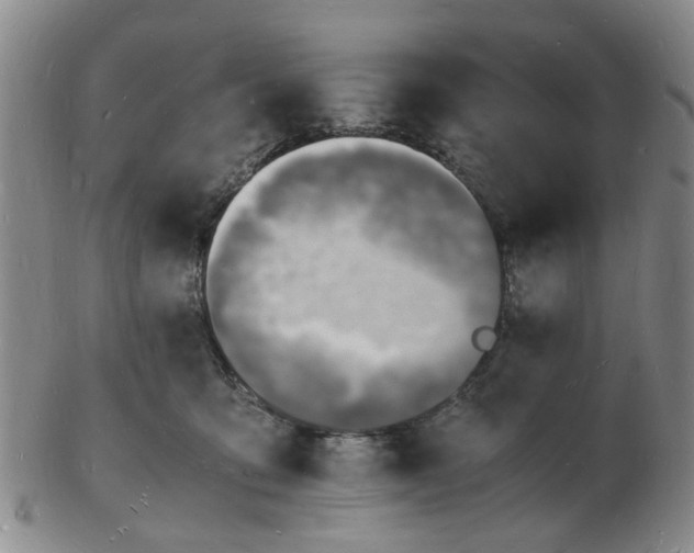 X0000102780419200809081031