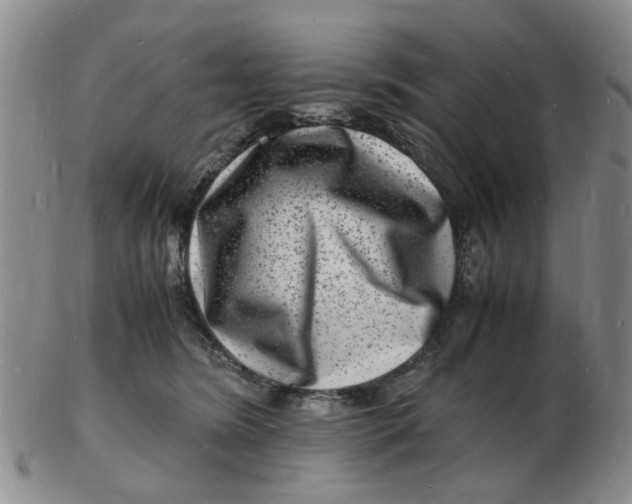 X0000102780420200809081031