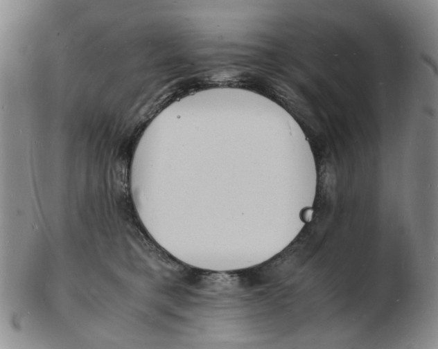 X0000102780421200809081031