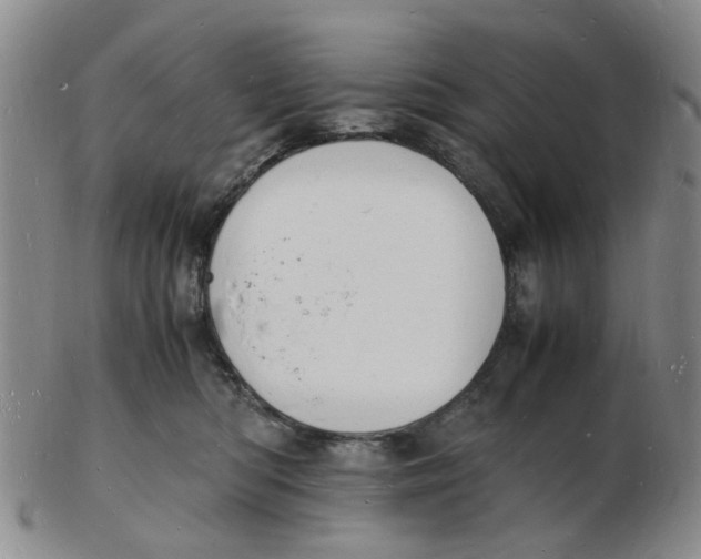 X0000102780422200809081031