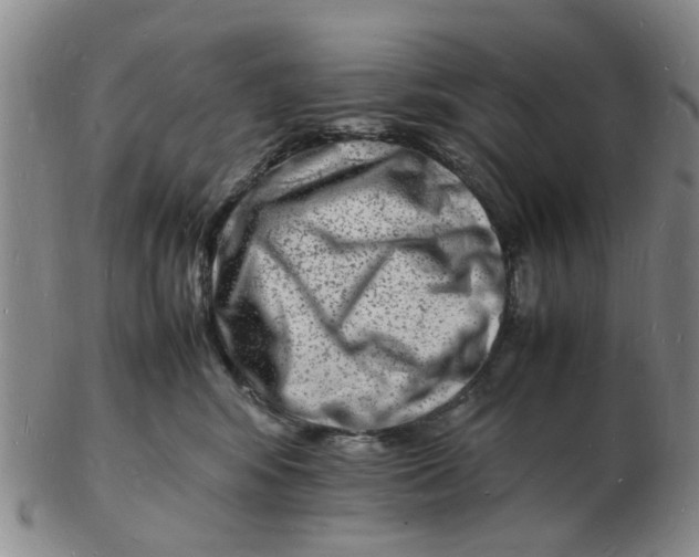 X0000102780424200809081031