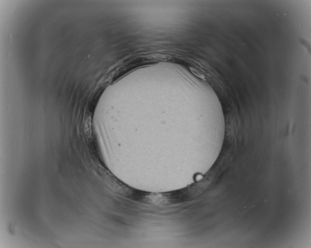 X0000102780425200809081031