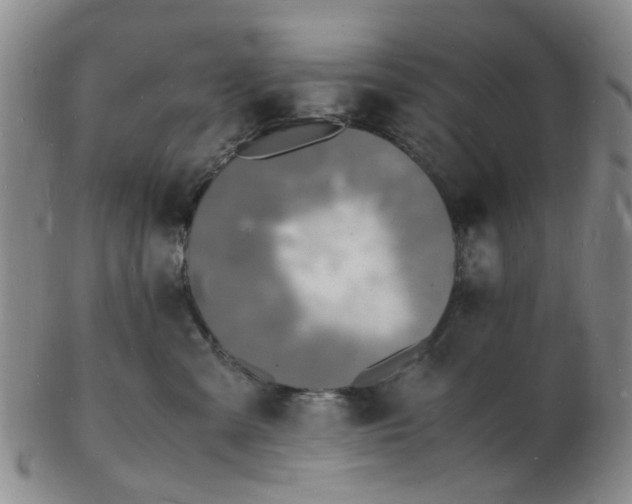 X0000102780427200809081031