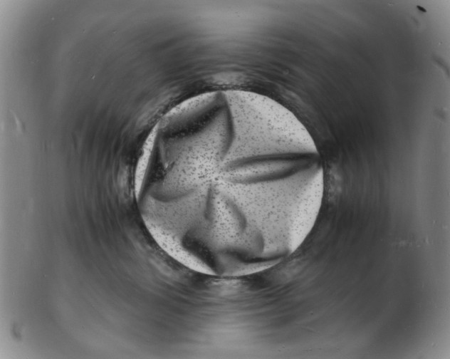 X0000102780428200809081031