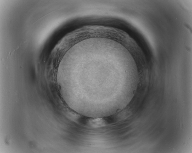 X0000102780431200809081031