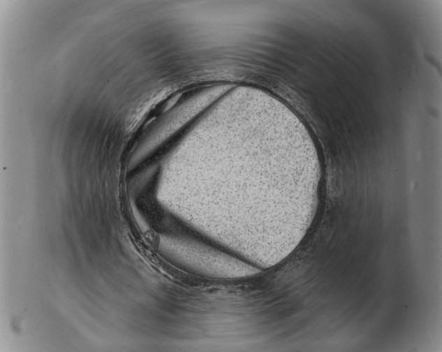 X0000102780434200809081031