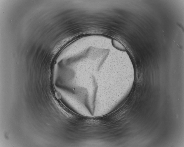 X0000102780437200809081031