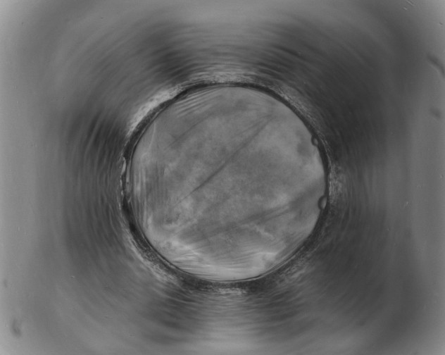 X0000102780438200809081031