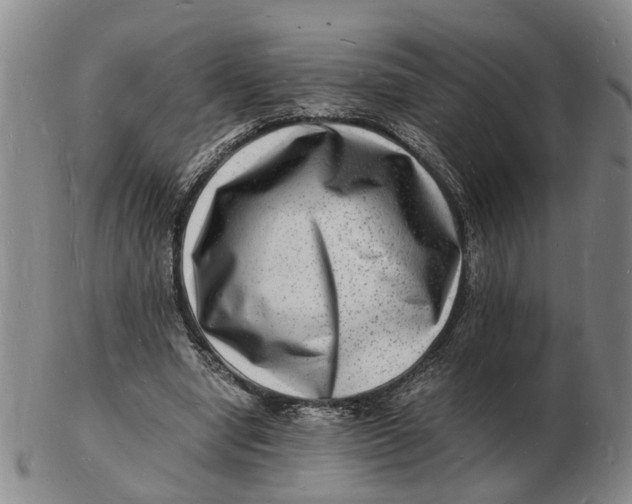 X0000102780442200809081031