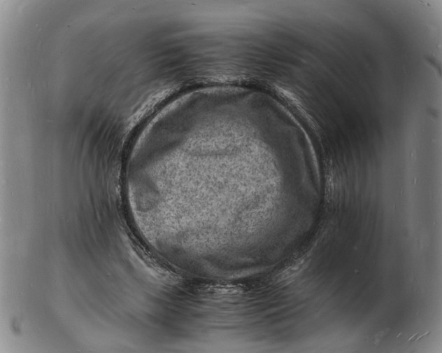 X0000102780443200809081031