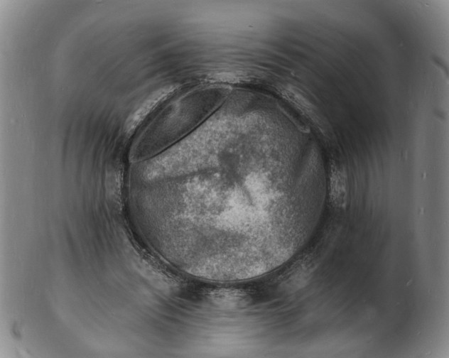 X0000102780444200809081031