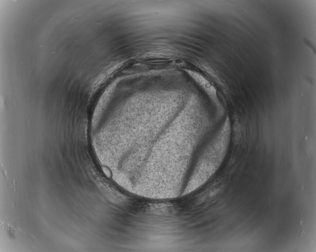 X0000102780446200809081031