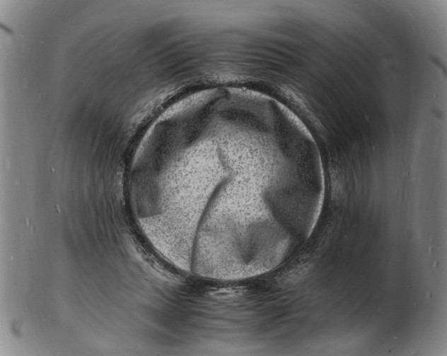 X0000102780447200809081031