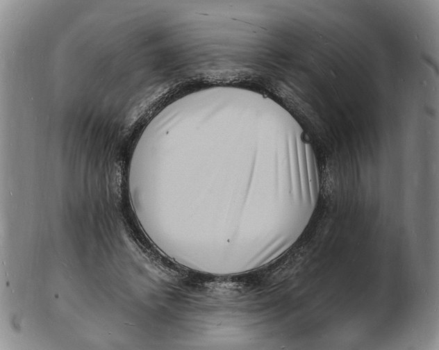 X0000102780448200809081031