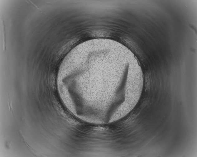 X0000102780453200809081031