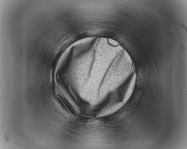 X0000102780454200809081031