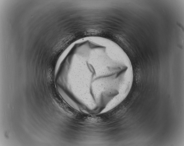 X0000102780455200809081031