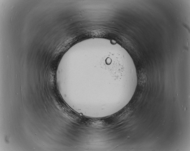 X0000102780456200809081031