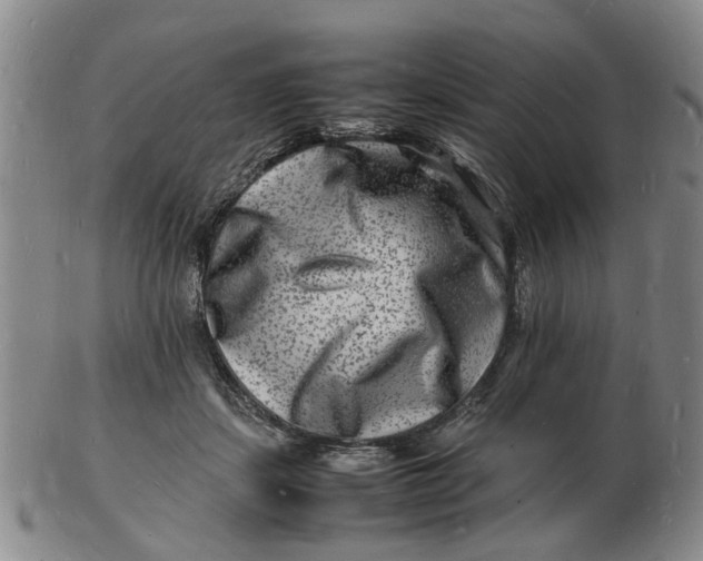 X0000102780459200809081031